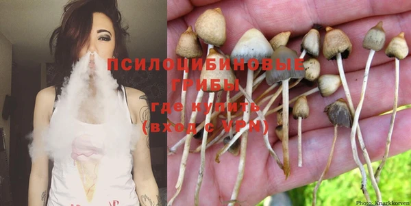 меф Мегион