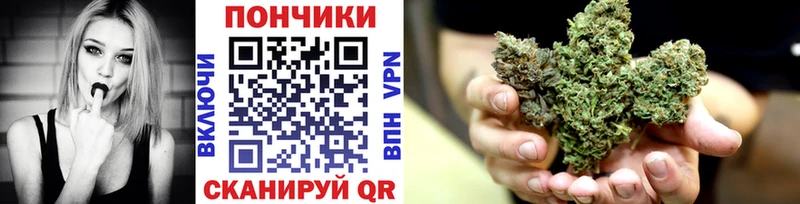 Бошки марихуана план  Мензелинск 