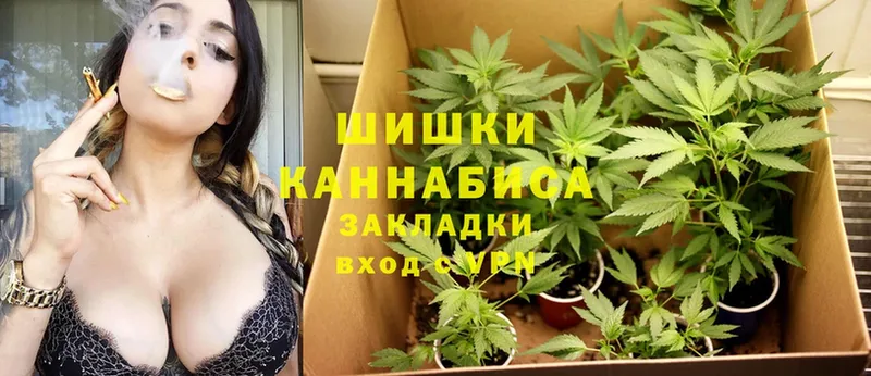 Каннабис SATIVA & INDICA  площадка какой сайт  Мензелинск  цена наркотик 